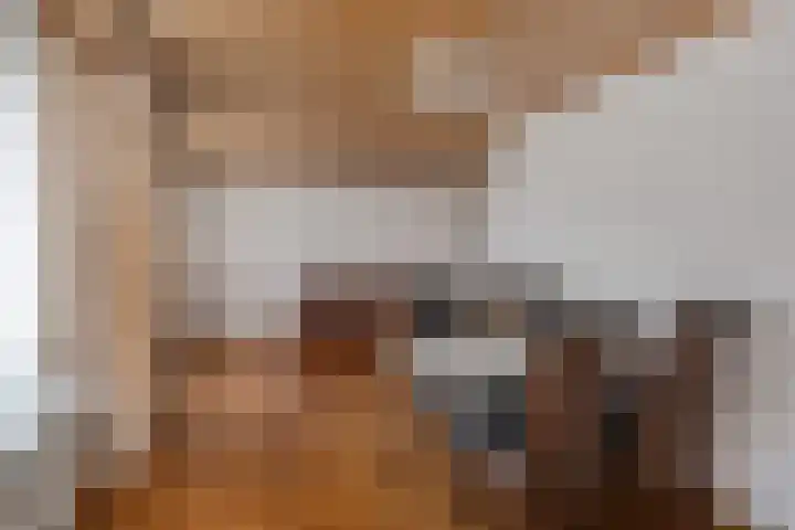 Hondstraat 12 Velddriel thumbnail 10