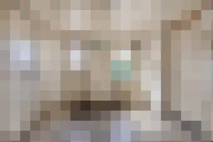 Hondstraat 12 Velddriel thumbnail 13
