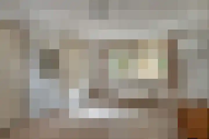 Hondstraat 12 Velddriel thumbnail 17
