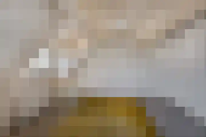 Hondstraat 12 Velddriel thumbnail 21