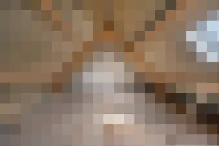 Hondstraat 12 Velddriel thumbnail 22