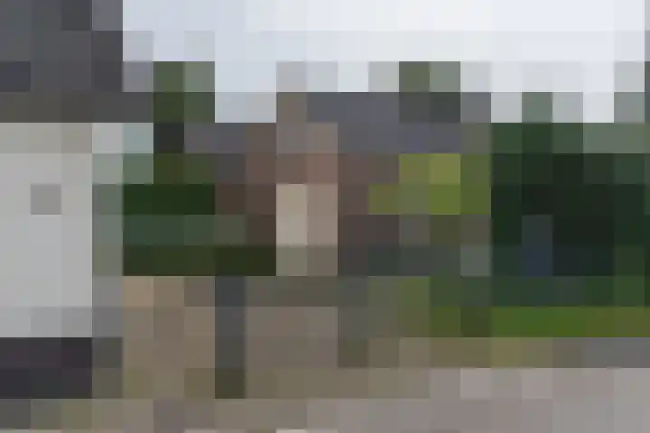 Hondstraat 12 Velddriel thumbnail 23