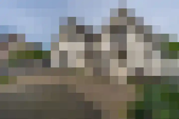 Hondstraat 12 Velddriel thumbnail 24