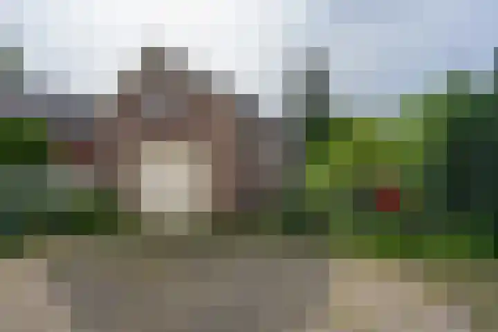 Hondstraat 12 Velddriel thumbnail 27