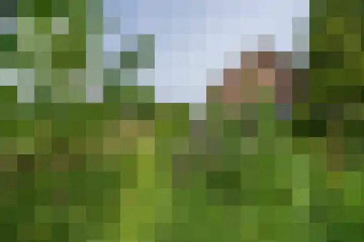 Hondstraat 12 Velddriel thumbnail 31