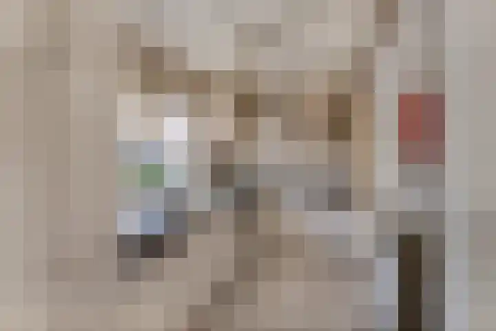 Hondstraat 12 Velddriel thumbnail 8