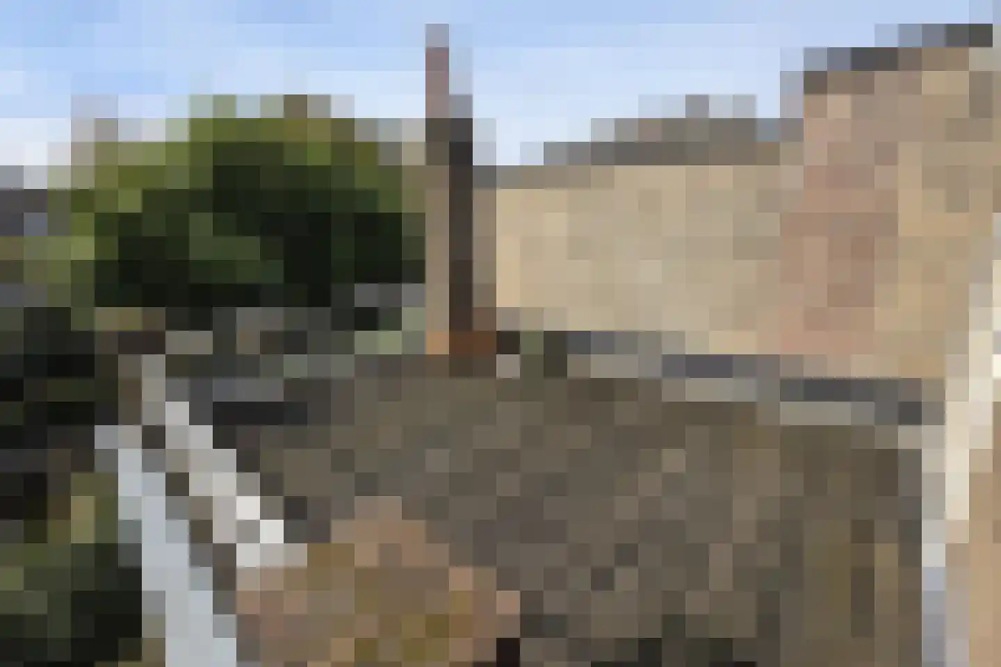 Hondstraat 8 A Maastricht thumbnail 18