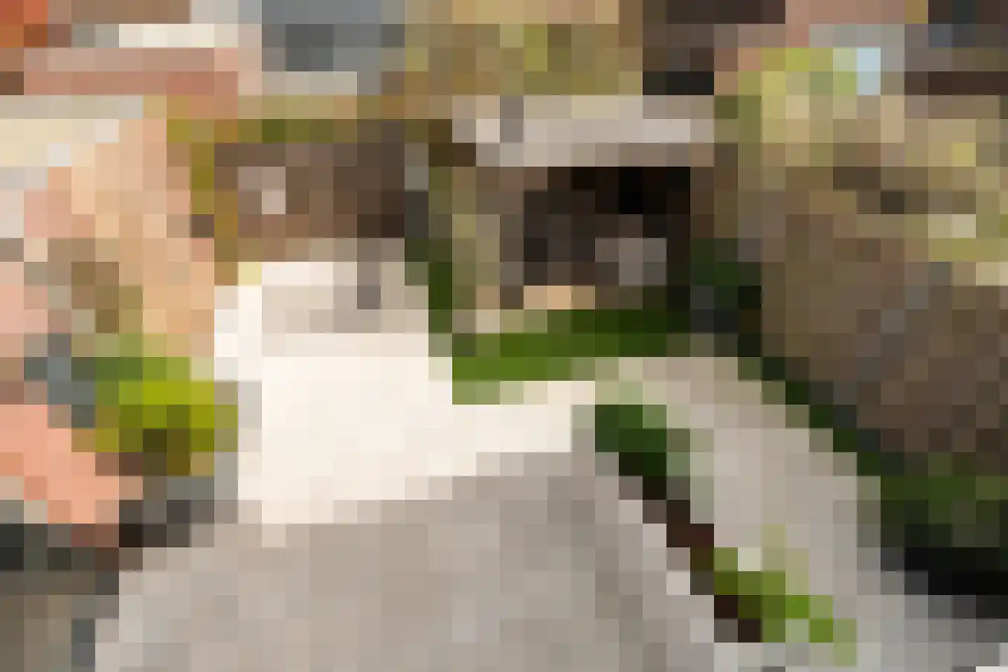 Hondurashof 8 IJsselstein thumbnail 28