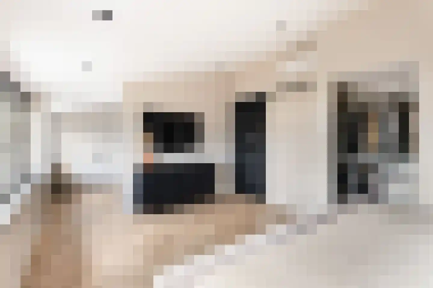 Hondurashof 8 IJsselstein thumbnail 33