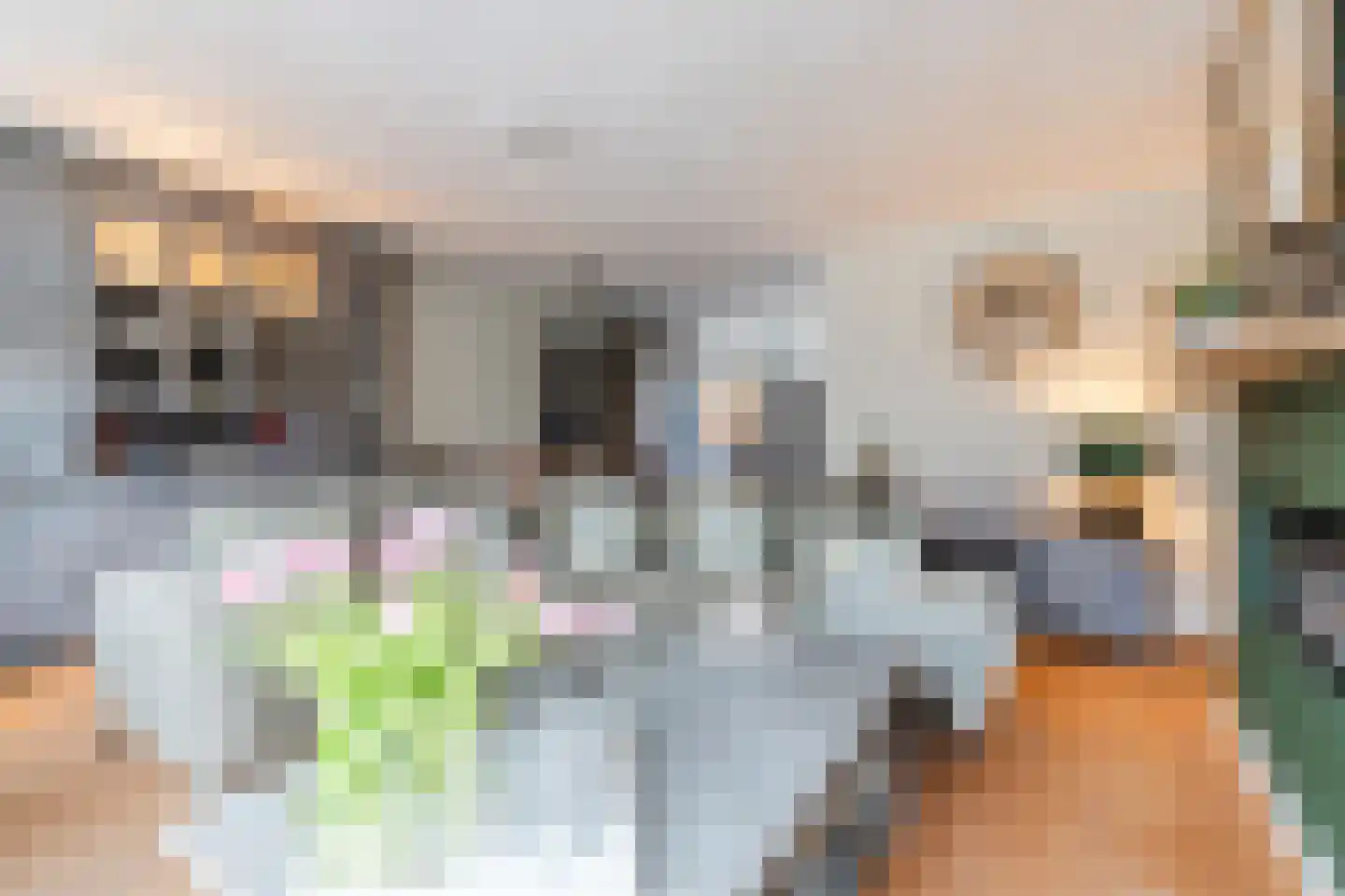 Honfleurlaan 11 Eindhoven thumbnail 11