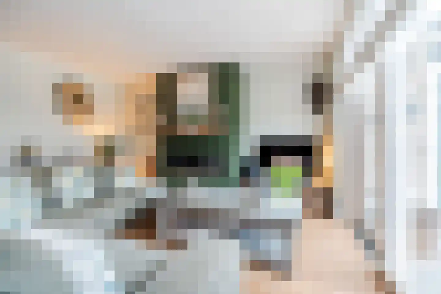 Honfleurlaan 11 Eindhoven thumbnail 13
