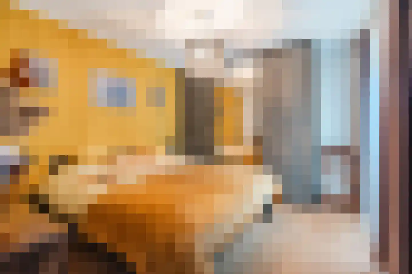 Honfleurlaan 11 Eindhoven thumbnail 29