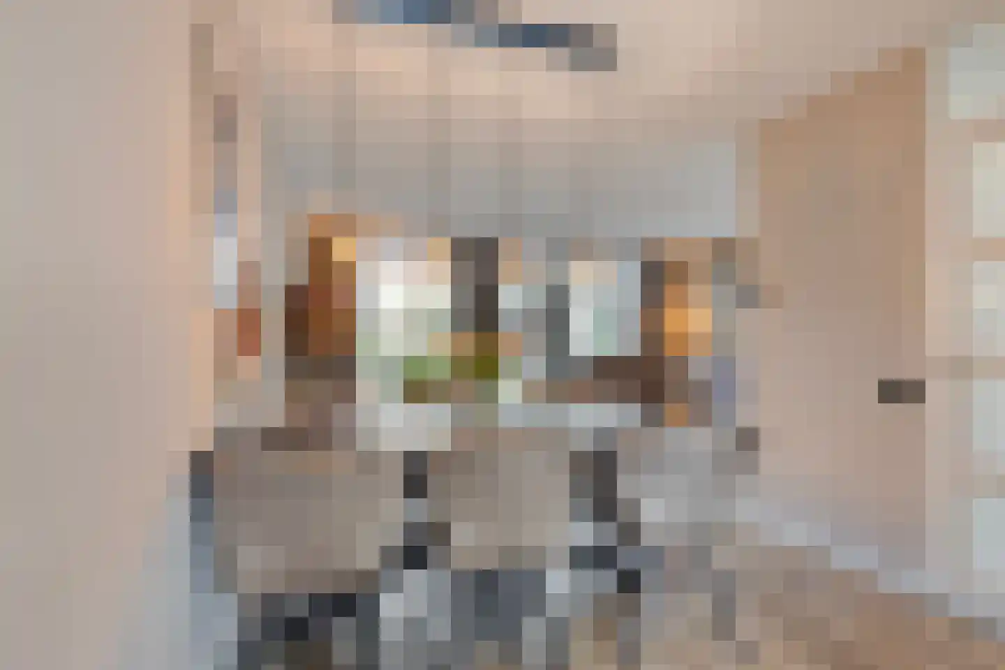 Honfleurlaan 9 Eindhoven thumbnail 11