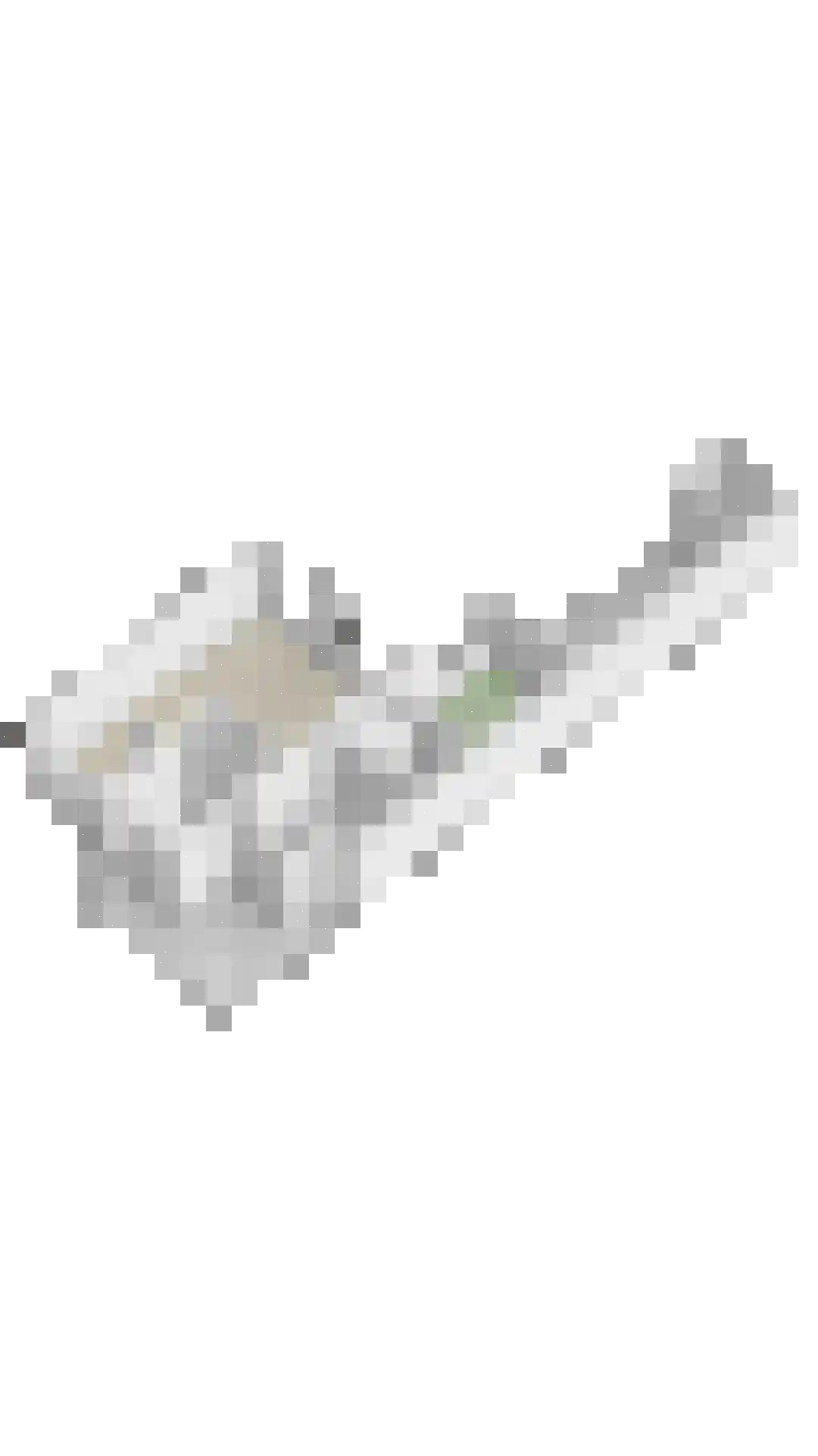 Honfleurlaan 9 Eindhoven thumbnail 38