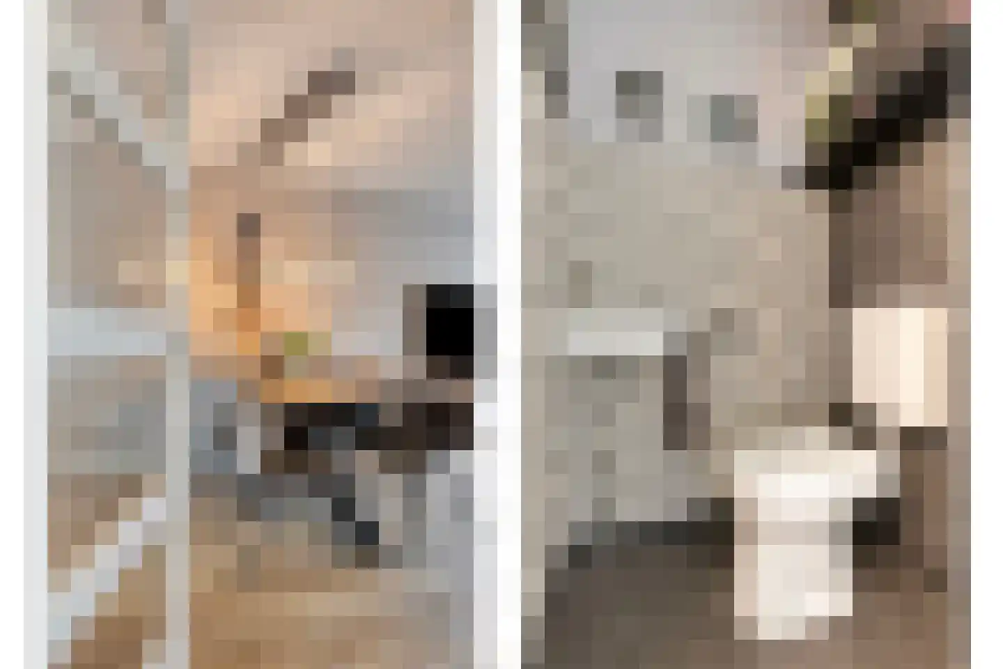 Honfleurlaan 9 Eindhoven thumbnail 5