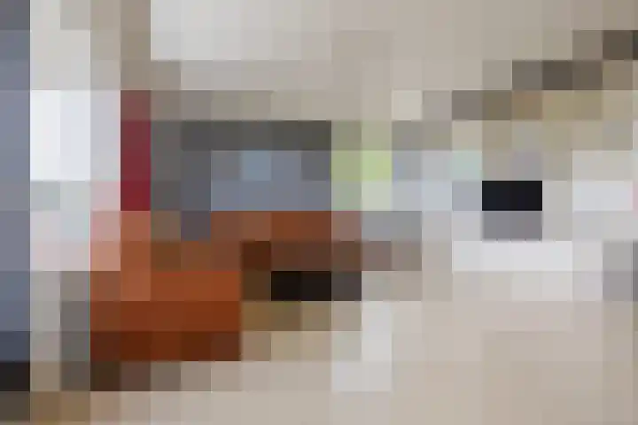 Hongarenburg 100 Den Haag thumbnail 13