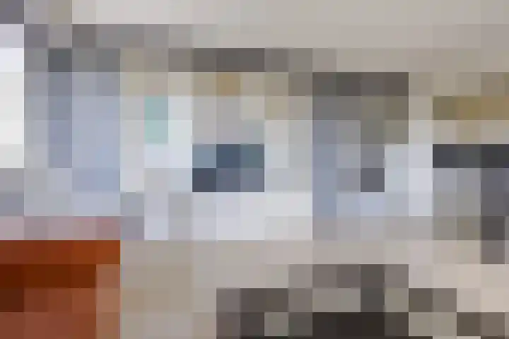 Hongarenburg 100 Den Haag thumbnail 15