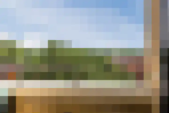 Hongarenburg 100 Den Haag thumbnail 20