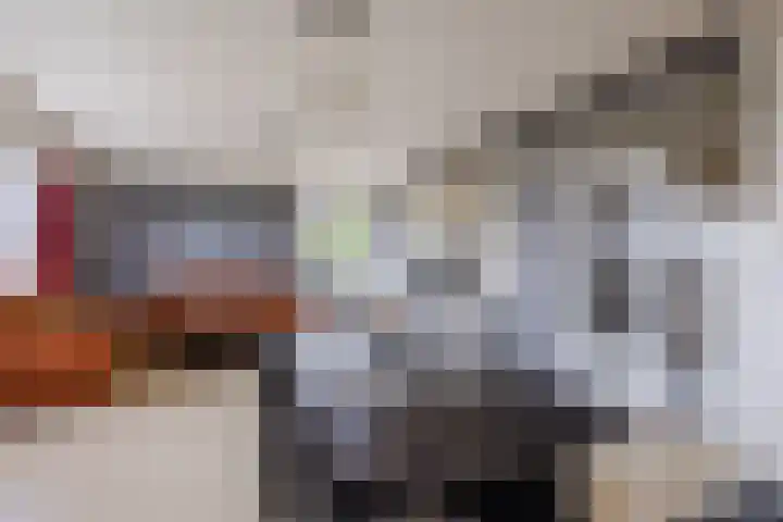 Hongarenburg 100 Den Haag thumbnail 22