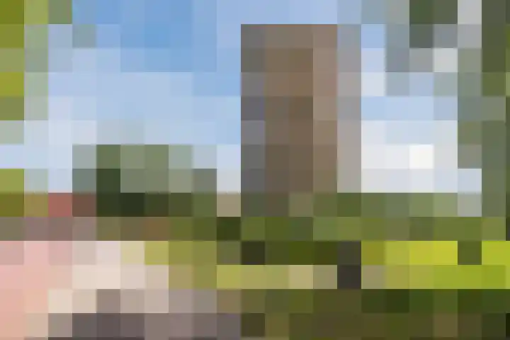 Hongarenburg 100 Den Haag thumbnail 35