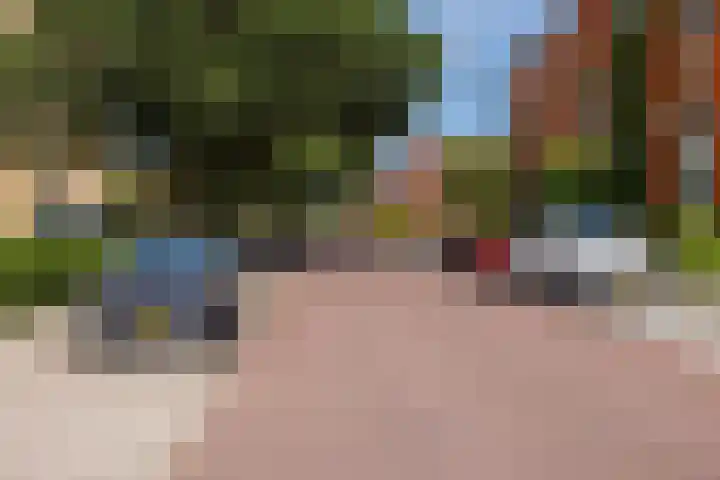 Hongarenburg 100 Den Haag thumbnail 37