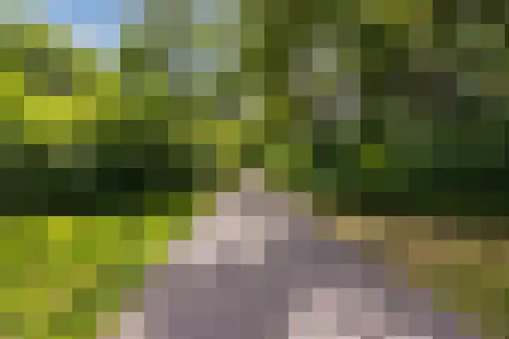 Hongarenburg 100 Den Haag thumbnail 38