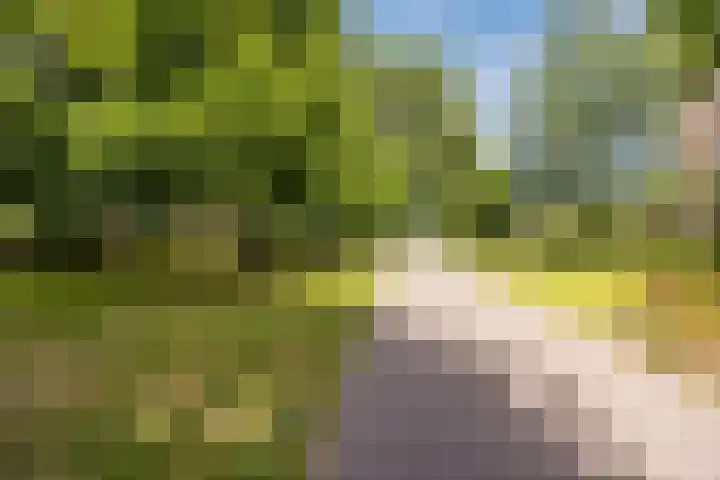 Hongarenburg 100 Den Haag thumbnail 39