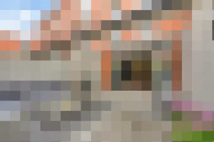 Hongarenburg 107 Den Haag thumbnail 15