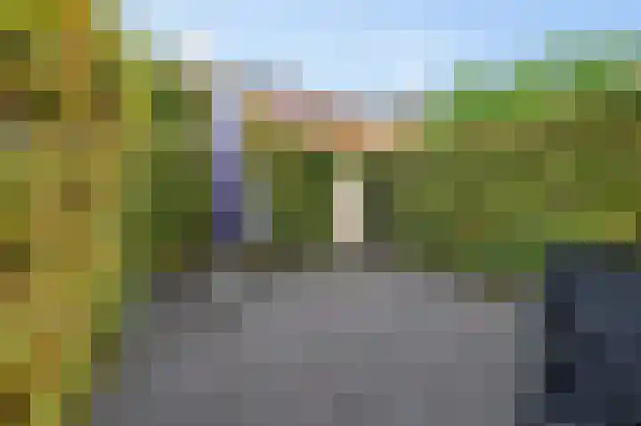 Hongarenburg 107 Den Haag thumbnail 19