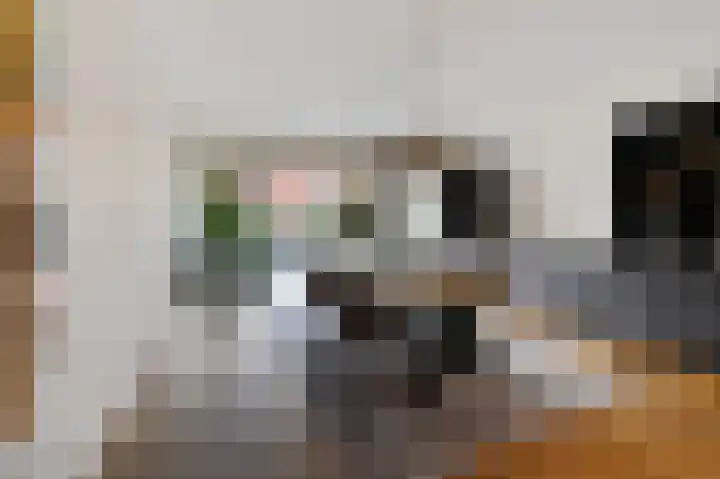 Hongarenburg 107 Den Haag thumbnail 7