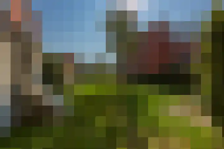 Hongarenburg 123 Den Haag thumbnail 12