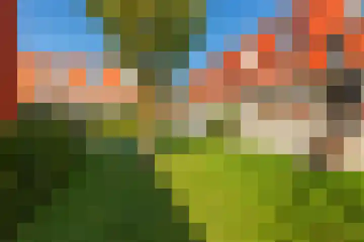 Hongarenburg 123 Den Haag thumbnail 13