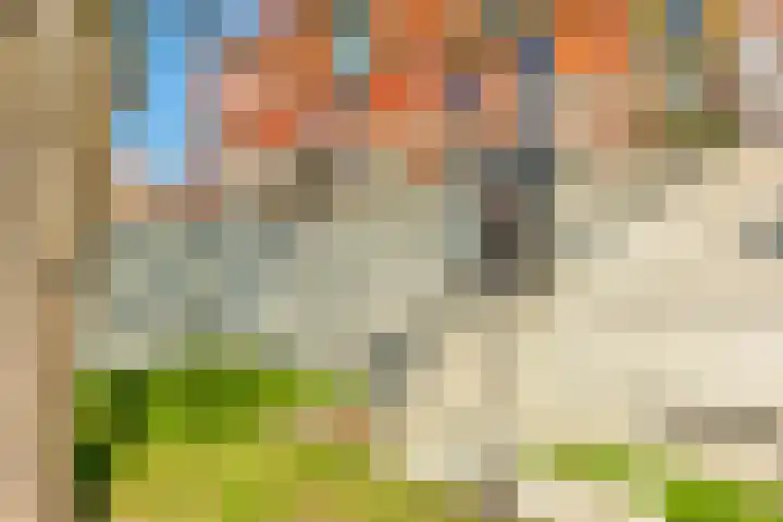 Hongarenburg 123 Den Haag thumbnail 14
