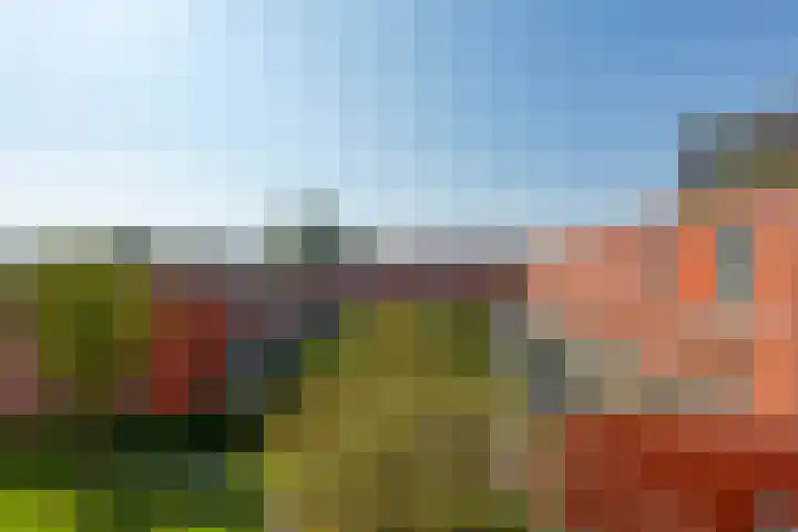 Hongarenburg 123 Den Haag thumbnail 34