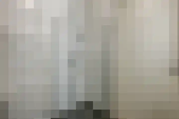 Hongarenburg 123 Den Haag thumbnail 38