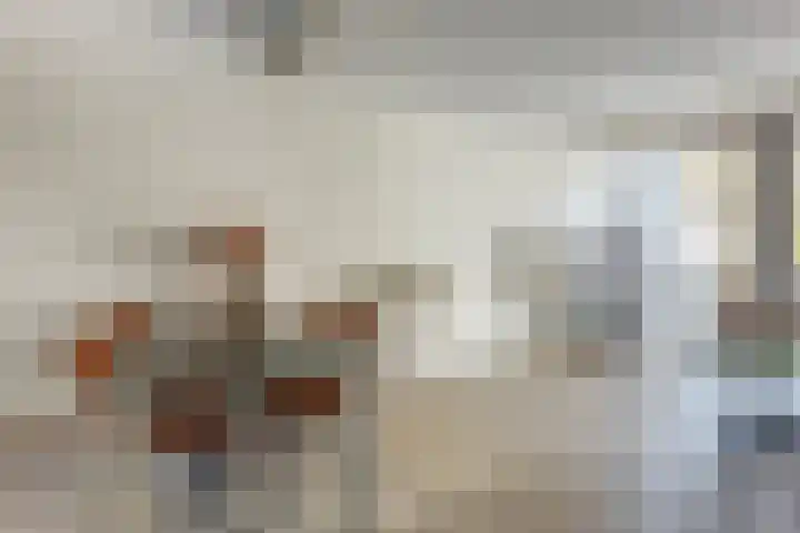 Hongarenburg 123 Den Haag thumbnail 6
