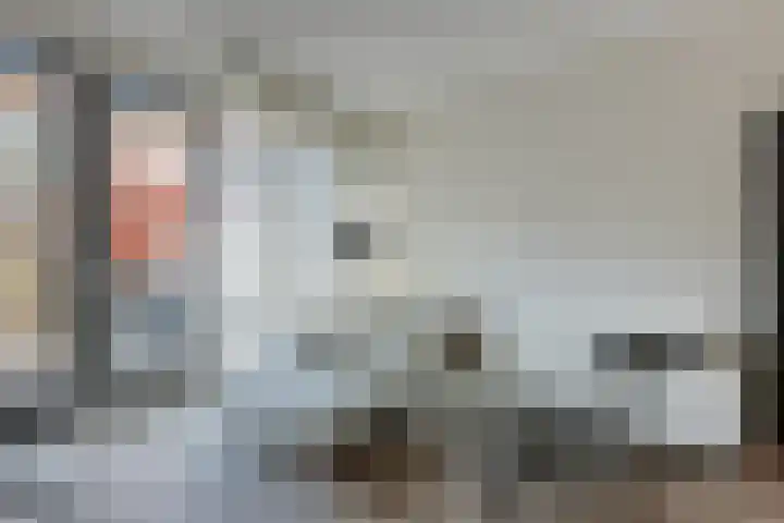 Hongarenburg 123 Den Haag thumbnail 8