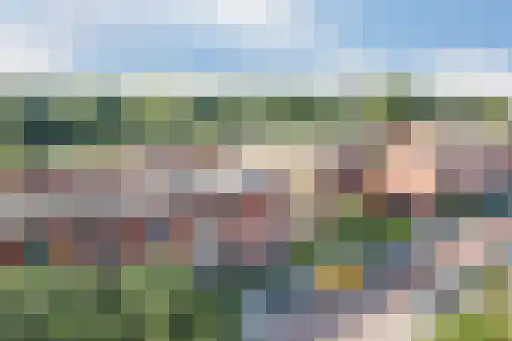 Hongarenburg 124 Den Haag thumbnail 12