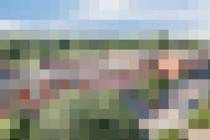 Hongarenburg 124 Den Haag thumbnail 13