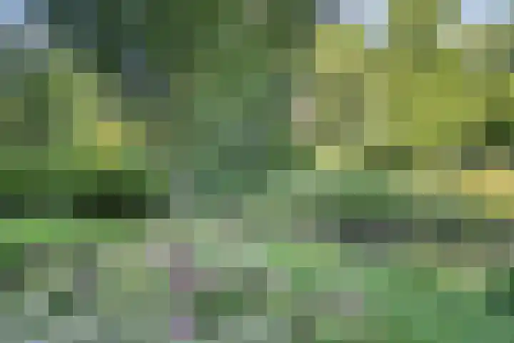 Hongarenburg 124 Den Haag thumbnail 33