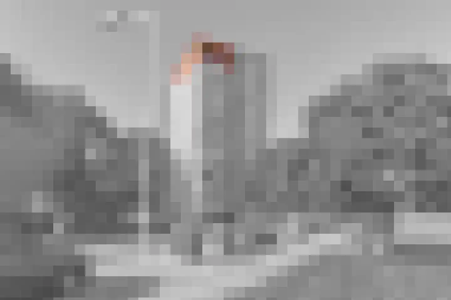 Hongarenburg 156 Den Haag thumbnail 5