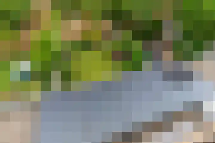 Hongarenburg 166 C Den Haag thumbnail 19