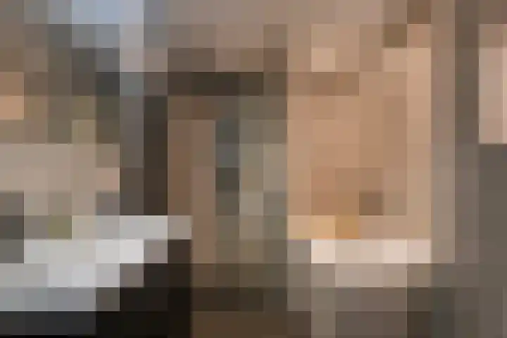 Hongarenburg 166 C Den Haag thumbnail 25