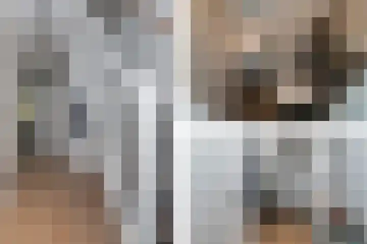 Hongarenburg 166 C Den Haag thumbnail 33