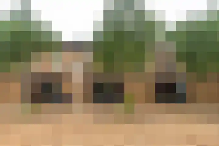 Hongarenburg 166 C Den Haag thumbnail 36
