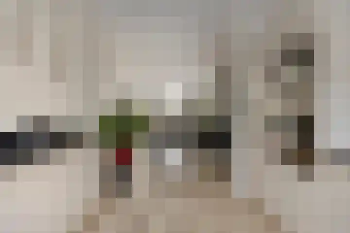Hongarenburg 263 Den Haag thumbnail 17