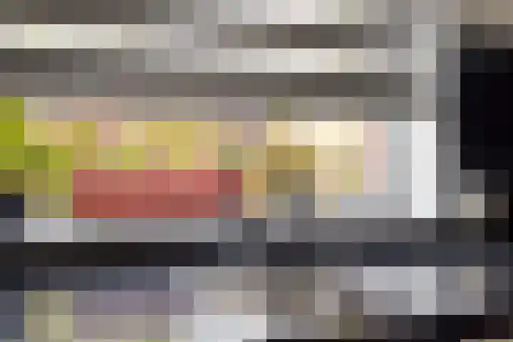 Hongarenburg 263 Den Haag thumbnail 19