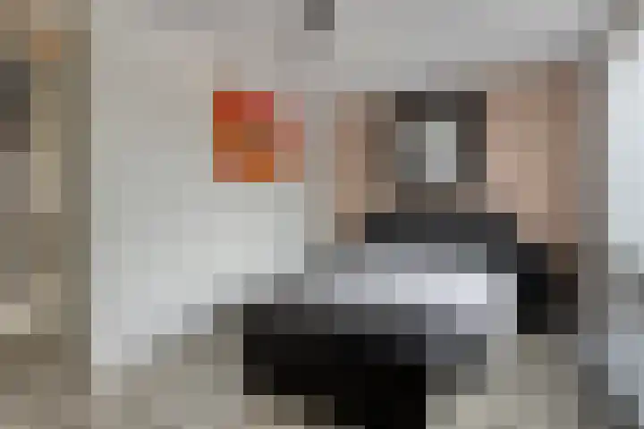 Hongarenburg 263 Den Haag thumbnail 22