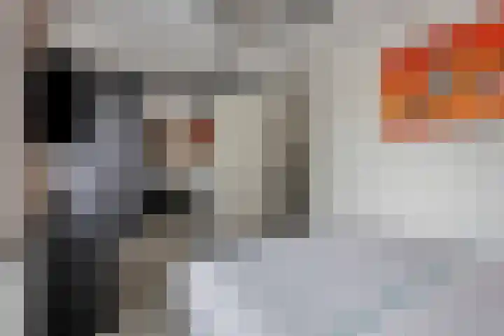 Hongarenburg 263 Den Haag thumbnail 23