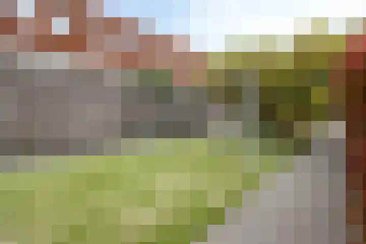 Hongarenburg 263 Den Haag thumbnail 41